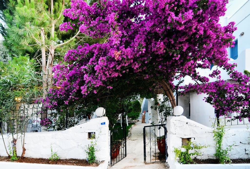 Misket Hotel Bodrum Gümüşlük Exterior foto